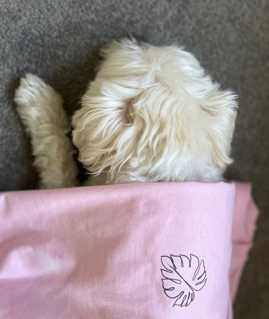 Why Organic Cotton Feels Like a Hug From a Cloud (And Why You’ll Never Go Back to Conventional Cotton)