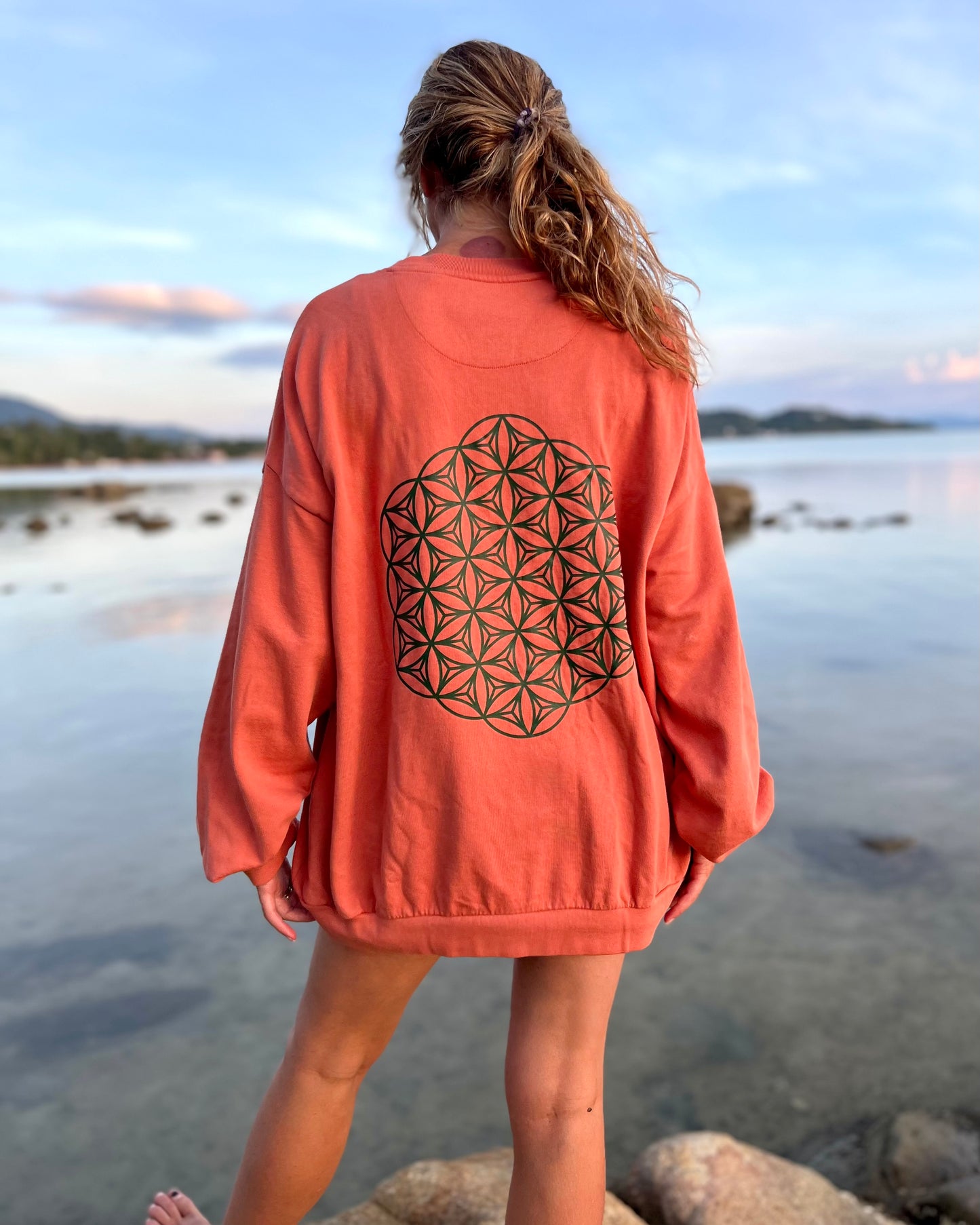 Person wearing a coral sweatshirt with a geometric design on the back, standing by a body of water.